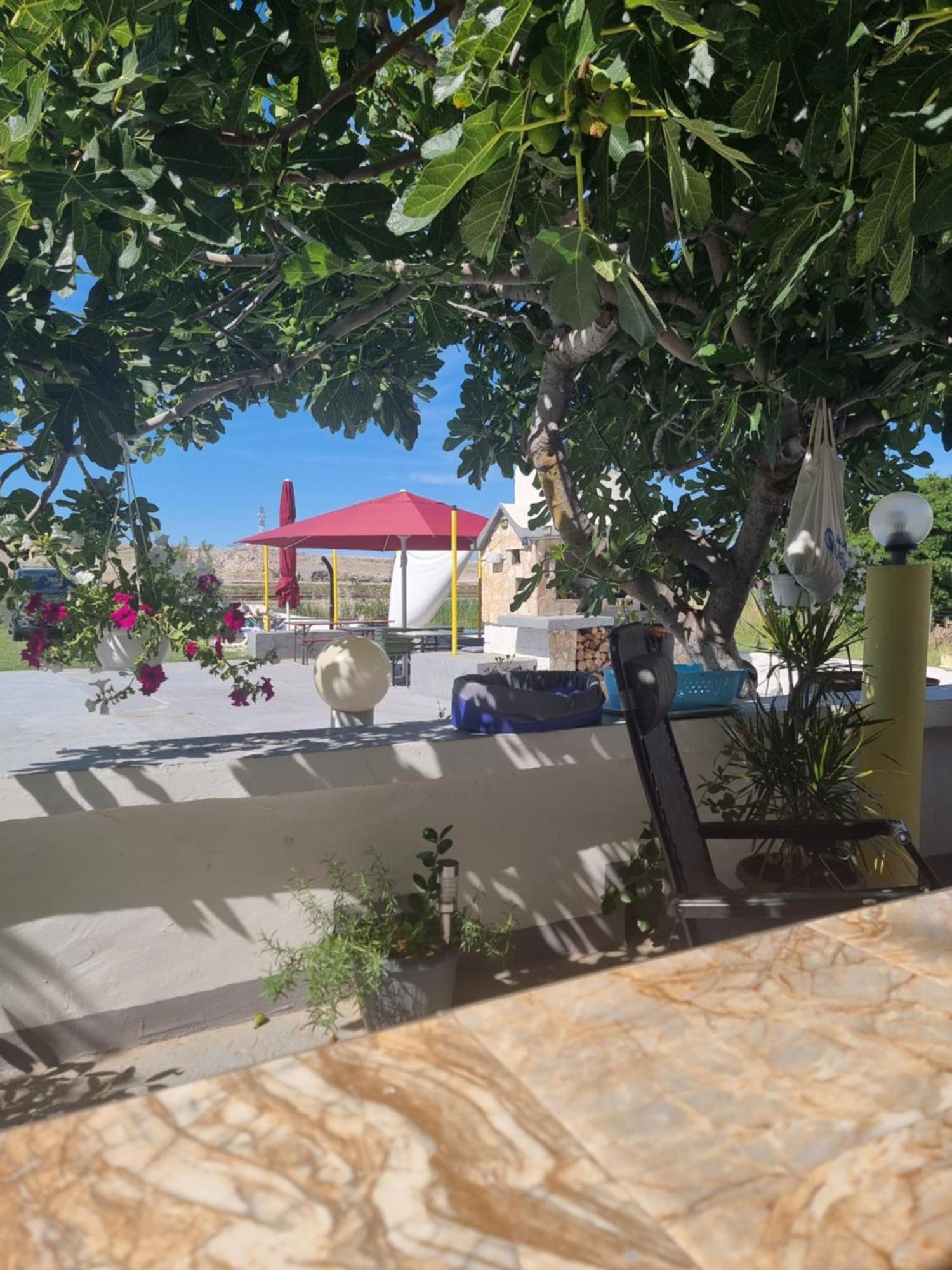 Apartmani Alen Dinjiska Bagian luar foto